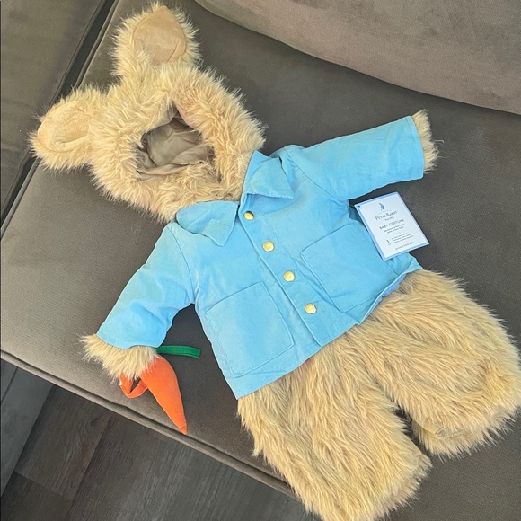 Peter Rabbit Costume - Picture 1 of 7